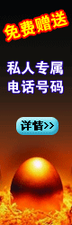 �������˽��ר���绰����